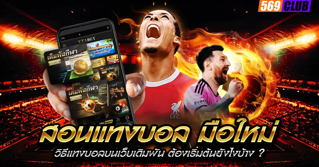 สอนแทงบอล มือใหม่