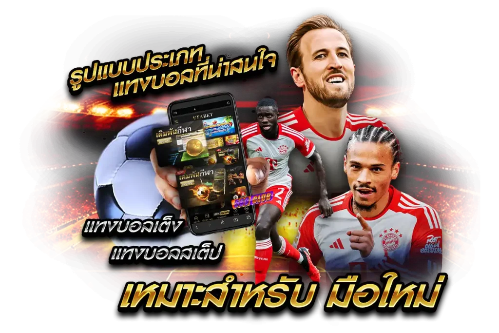 รูปแบบประเภทแทงบอลที่น่าสนใจ เหมาะสำหรับมือใหม่!