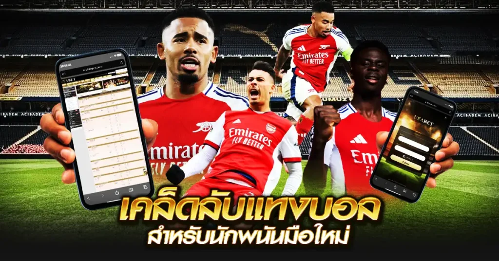 เคล็ดลับแทงบอล สำหรับนักพนันมือใหม่