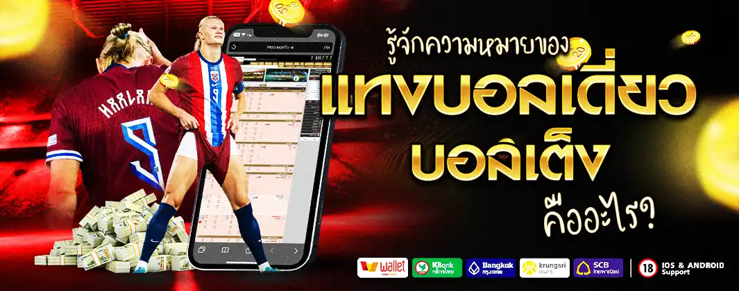 แทงบอลเดี่ยว บอลเต็ง คืออะไร
